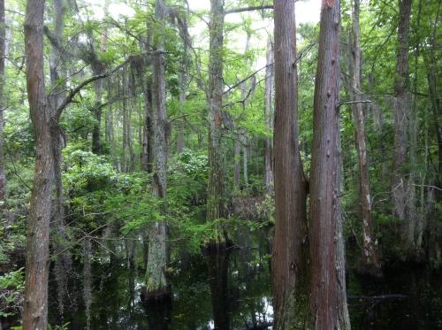 2013-06-08 photo (2)