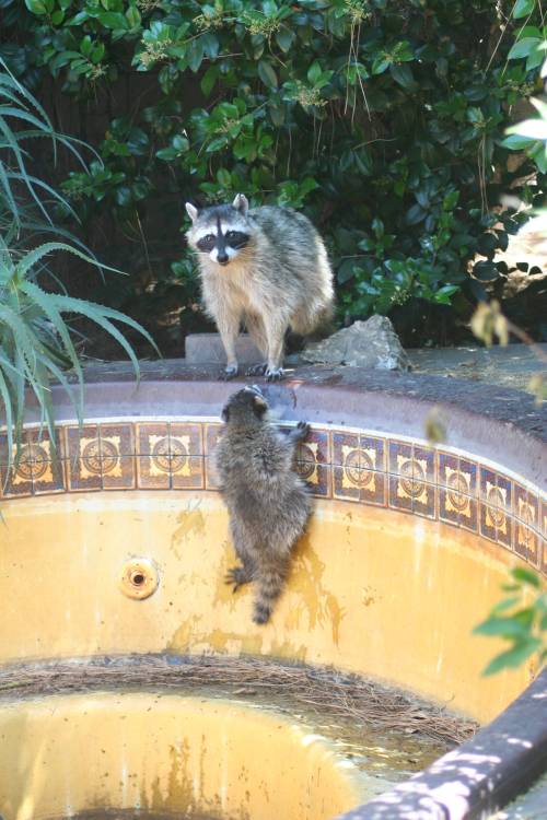 2013-06-17_IMG_6235_small