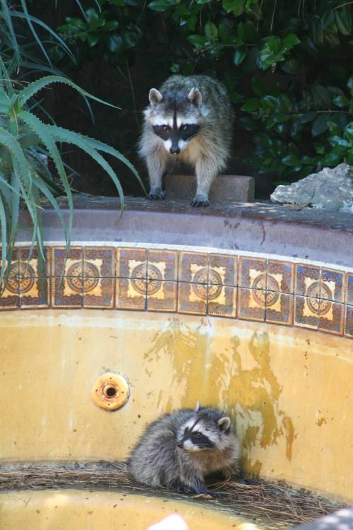 2013-06-17_IMG_6244_small