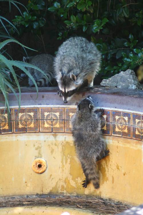 2013-06-17_IMG_6250_small