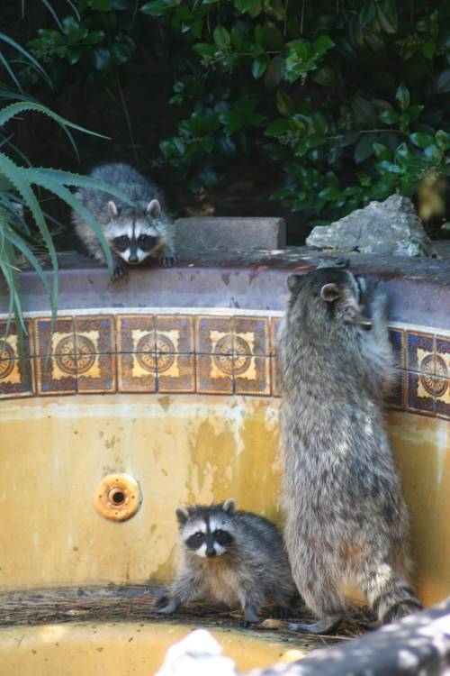 2013-06-17_IMG_6258_small