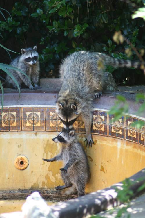 2013-06-17_IMG_6261_small