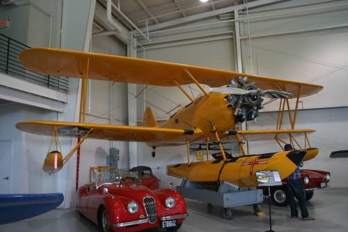 IMG_7493_small_NAF_N3N_'Canary'