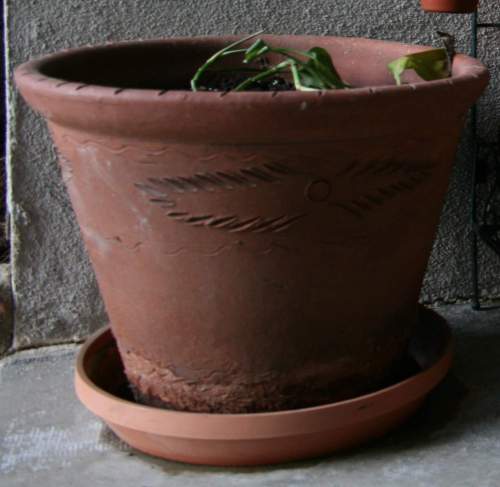 2010-05-10 Front Porch Flowers (Cropped)