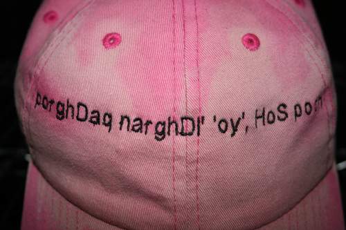 2010-09-13 My Avon Walk Hat small