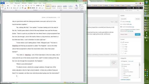 Middle Monitor (small)