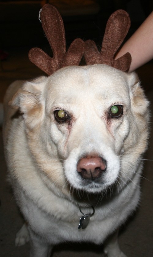 Rudolph Jessie (cropped)