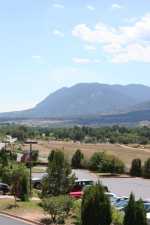 IMG_6920 (compressed)