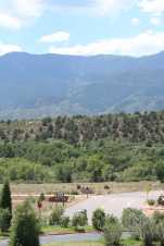 IMG_6927 (compressed)