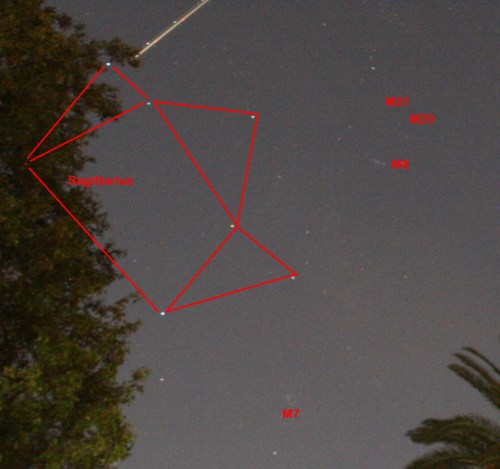 IMG_1945 annotated cropped