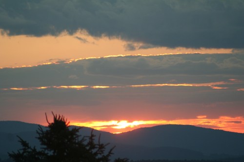 6_20150723_IMG_3814 small