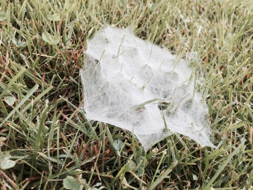 File Jul 25, 13 39 19