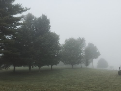 File Aug 06, 19 21 06