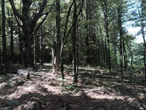 File Aug 06, 19 21 41 small