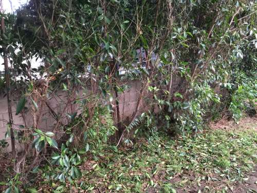 File Sep 14, 20 37 46 small