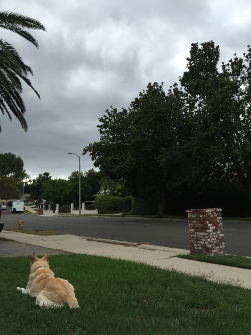 File Sep 16, 21 50 28 small