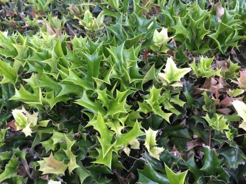 File Sep 19, 19 18 17 small