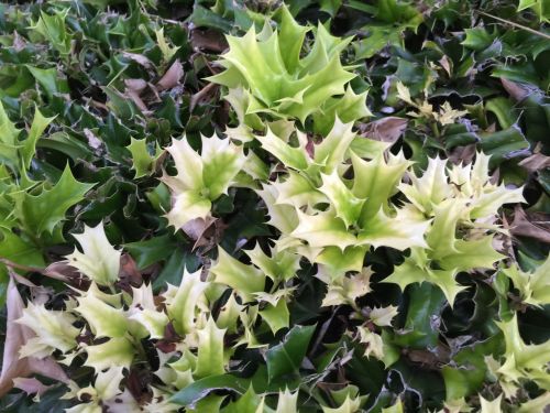 File Sep 19, 19 19 06 small