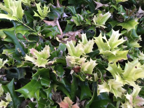 File Sep 19, 19 19 29 small