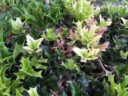 File Sep 19, 19 19 53 small