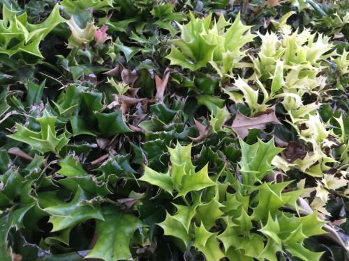 File Sep 19, 19 20 18 small