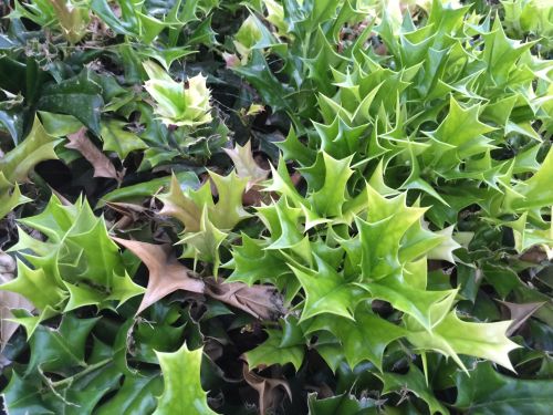 File Sep 19, 19 21 05 small