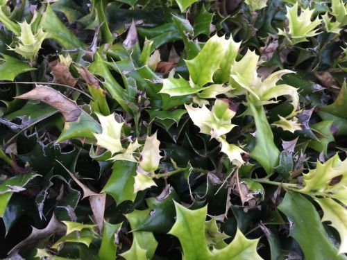 File Sep 19, 19 21 29 small