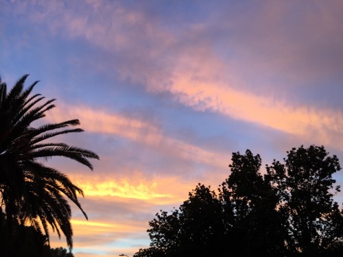 File Sep 21, 21 28 30 small