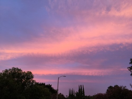 File Sep 21, 21 30 22 small