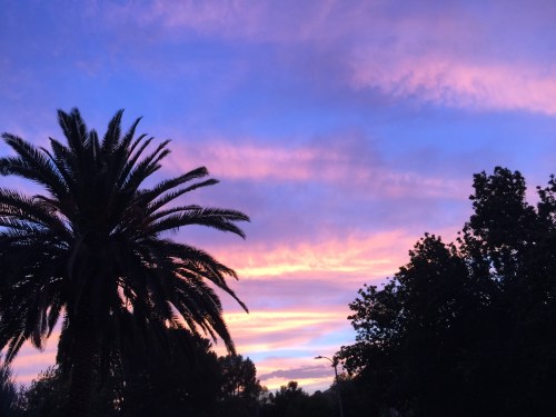 File Sep 21, 21 32 01 small