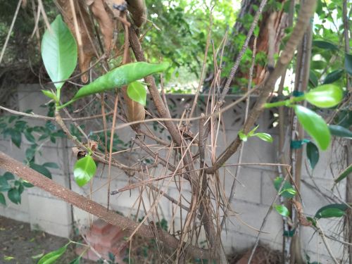 File Oct 04, 14 00 12 small