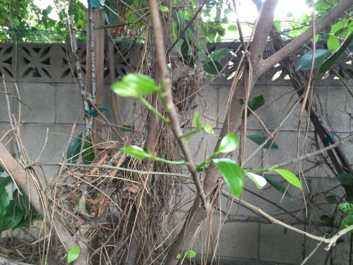 File Oct 04, 14 01 05 small