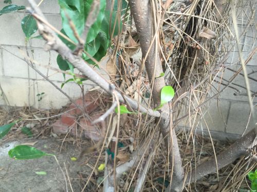 File Oct 04, 14 01 29 small