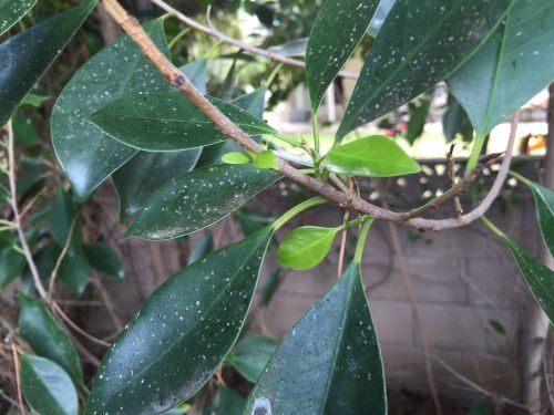 File Oct 04, 14 02 01 small