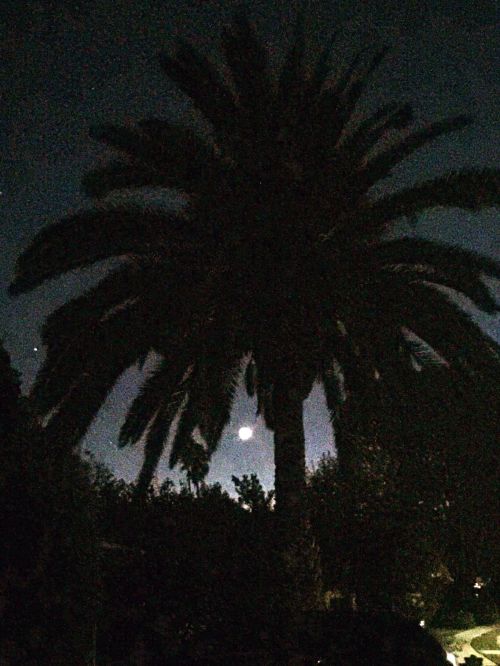 File Oct 15, 19 16 40 processed