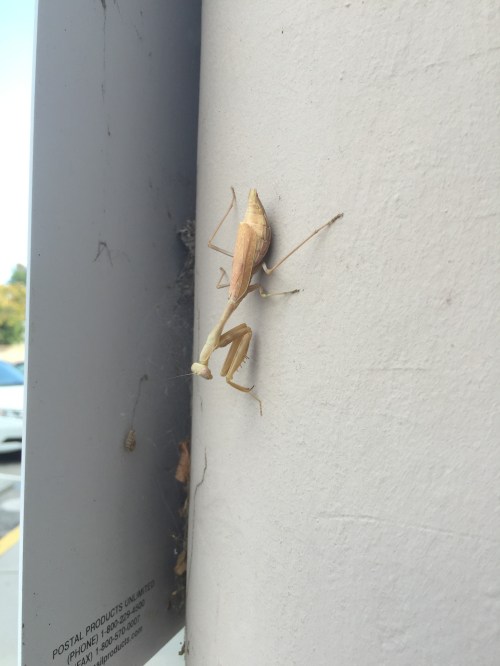 File Oct 17, 19 53 15 small