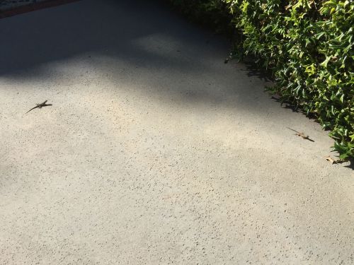 File Oct 18, 20 40 21 small