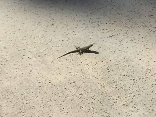 File Oct 18, 20 41 57