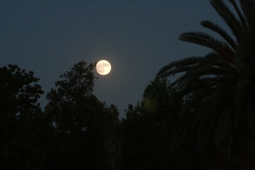 IMG_2659_2700_Composite small