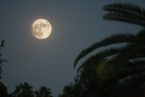 IMG_2666_2686_Composite small