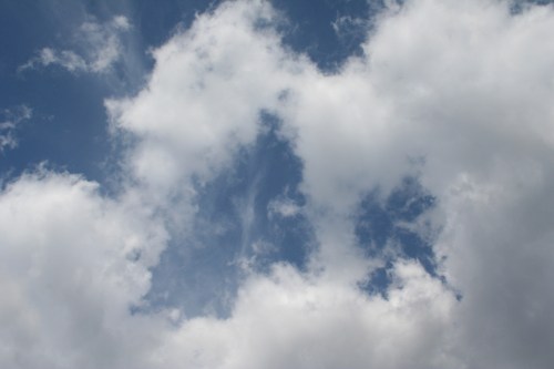 IMG_5291 small clean