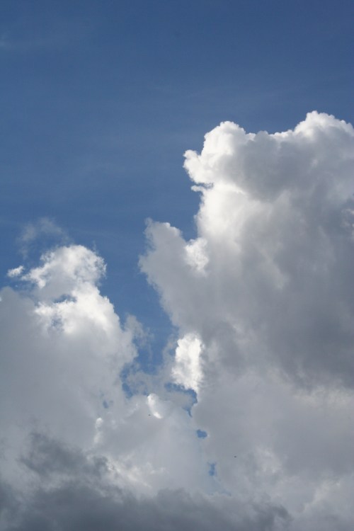 IMG_5293 small clean