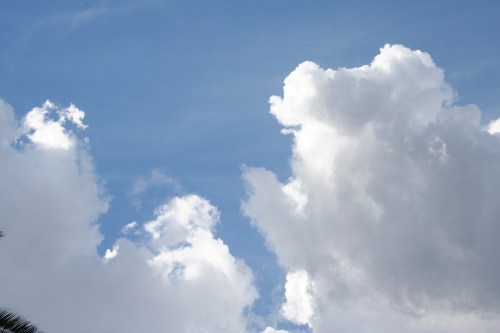 IMG_5294 small clean