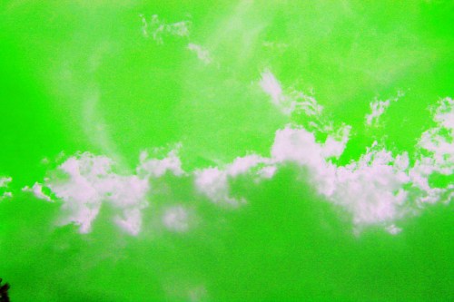 IMG_5295 small clean photoshopped