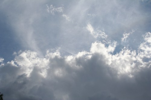 IMG_5295 small clean