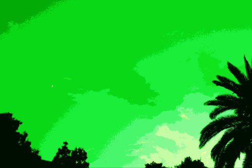 IMG_5299 small photoshopped