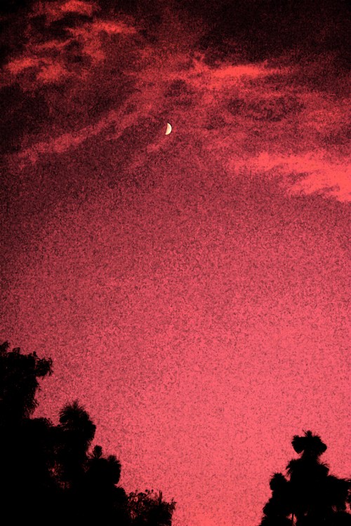 IMG_5302 small photoshopped