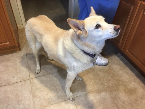 File Dec 04, 22 31 14 small