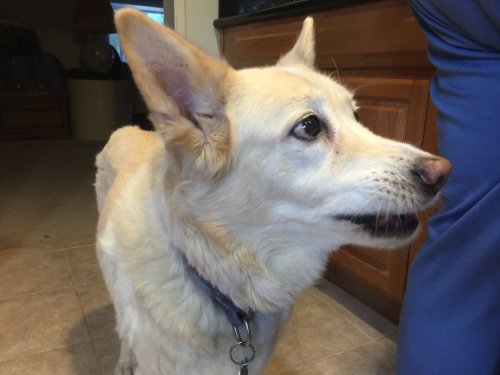 File Dec 04, 22 32 28 small