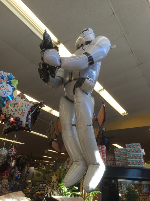 File Dec 13, 20 41 46 small